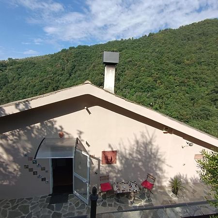 Tottavilla Affittacamere Campodonico  Extérieur photo