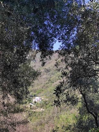 Tottavilla Affittacamere Campodonico  Extérieur photo